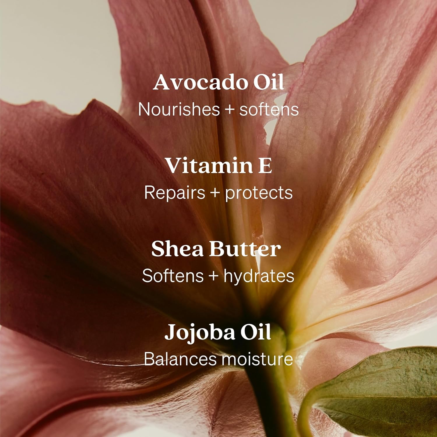 Hand Wash, Just Because Liquid Hand Soap, Gentle & Hydrating, Cruelty-Free, Formulated with Nourishing Oils & Soft Floral Scent, 15 oz